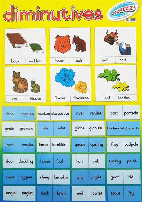 Diminutives Laminated Poster 680mm X 480mm Educational Toys Online
