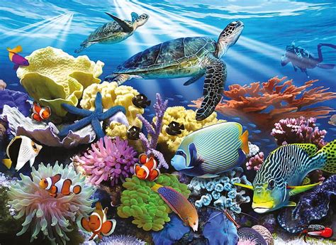 Ocean Turtles Turtle Fish Sea Ocean Hd Wallpaper Peakpx