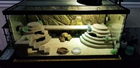 New To Geckos But This Is My Diy Leopard Gecko Habitat I Just Completed