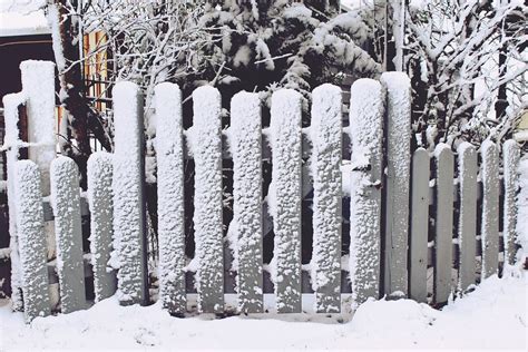 5 Ways To Protect Your Wooden Fence This Winter