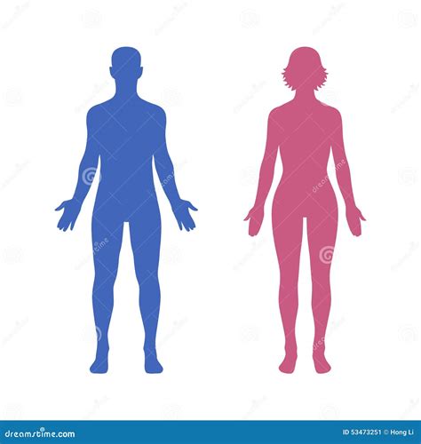 Male Female Body Flat Icon Set For Apps And Websites Stock Vector