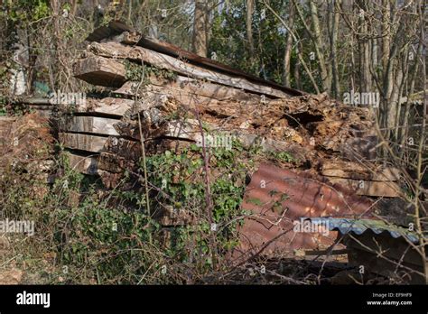 Stacked Air Dried Timber Stock Photo Alamy