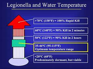 Legionella And Water Temperature Download Scientific Diagram