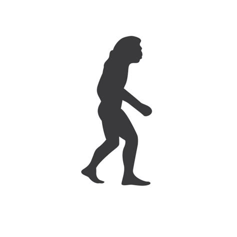 Early Homo Sapiens Illustrations Royalty Free Vector Graphics And Clip