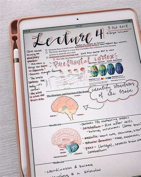 The Ultimate Guide For Taking Aesthetic Notes Studystuff