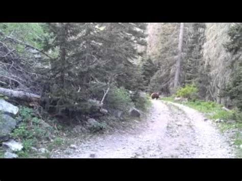 What is a senior fishing license? Fly Fishing Northern New Mexico - YouTube