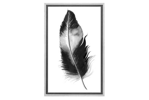 Buy Feather In Black And White Feather Wall Art Online Australia