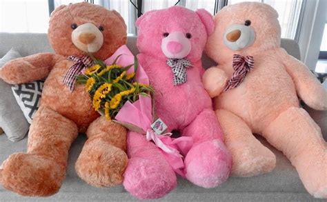 We deliver flowers, cakes and other gifts items on the exact date and time mentioned by you. Send Life Size Giant Teddy Bear Philippines.Free Delivery ...