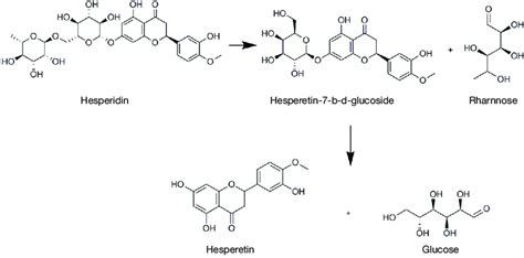 Hydrolysis Of Hesperidin To Produce Hesperetin Download Scientific Diagram
