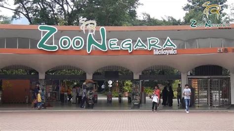 An entrance fee of zoo negara costs rm 44, i.e. Zoo Negara Tawar Tiket Masuk Percuma Selama 30 Hari Dari ...