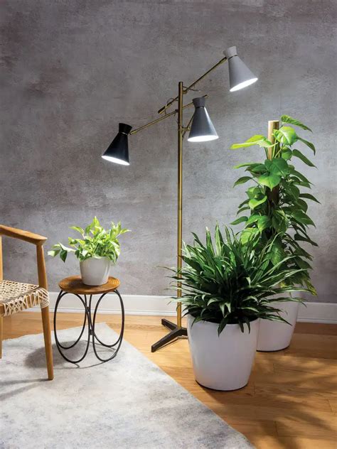 Arm Floor Lamp For Plants Gardener S Supply Grow Lamps Plant
