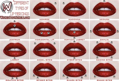 Lip Piercing Types Enjoy This Visual Diagram Of All The Different Types Of Lip Piercings