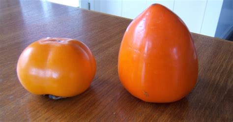 A tip from the nibble webzine of specialty foods. Making Fuyu Persimmon Jam - Canning Homemade!