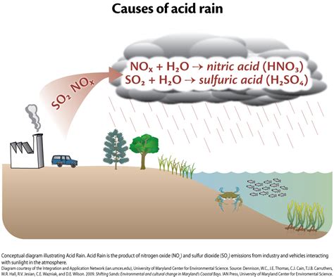 Acid Rain Diagram