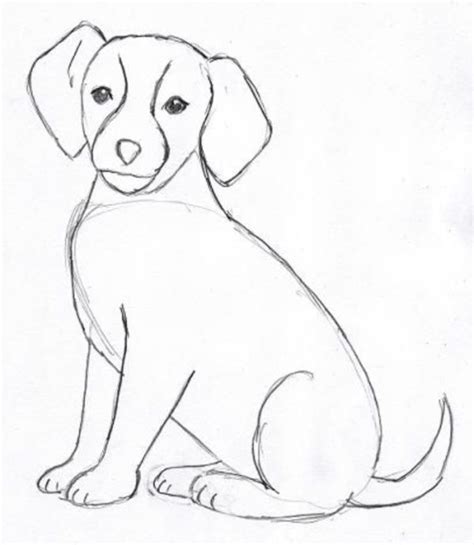 Learn how to draw easy dog pictures using these outlines or print just for coloring. 40 simple dog drawing to Follow and Practice | Dog drawing simple, Animal drawings, Dog drawing