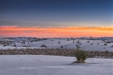 Landscapes Of White Sand Dunes In New Mexico In The United