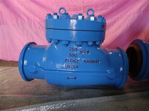 Floec Swing Check Valve At Rs Floec Check Valves In Ahmedabad Id