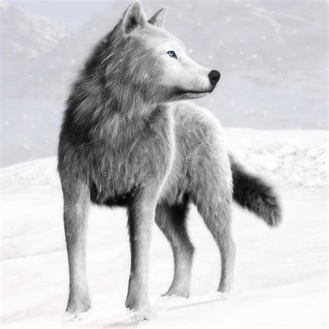 Illustration Of A White Wild Wolf With Blue Eyes And Winter Background