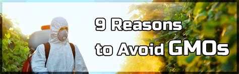 9 Reasons To Avoid Gmos Why Are Gmos Banned In So Many Countries