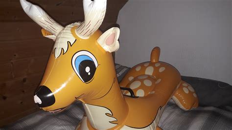 intex lil deer inflatable world album and photo image