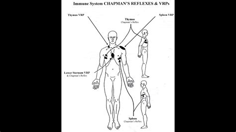 Self Massage Helps You Balance Your Immune System Youtube