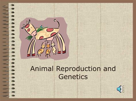 Ppt Animal Reproduction And Genetics Powerpoint Presentation Free