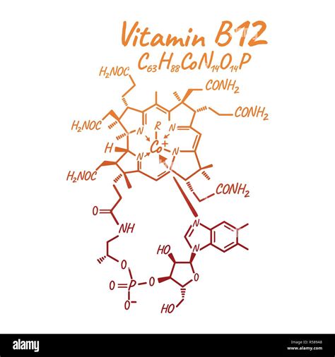 Vitamin B12 Label And Icon Chemical Formula And Structure Logo Vector