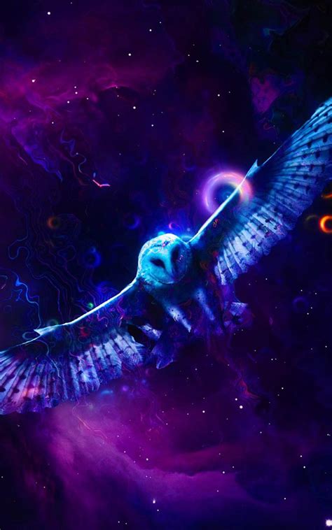 We hope you enjoy our growing collection of hd images to use as a background or home screen for your smartphone or computer. Neon Owl Free 4K Ultra HD Mobile Wallpaper