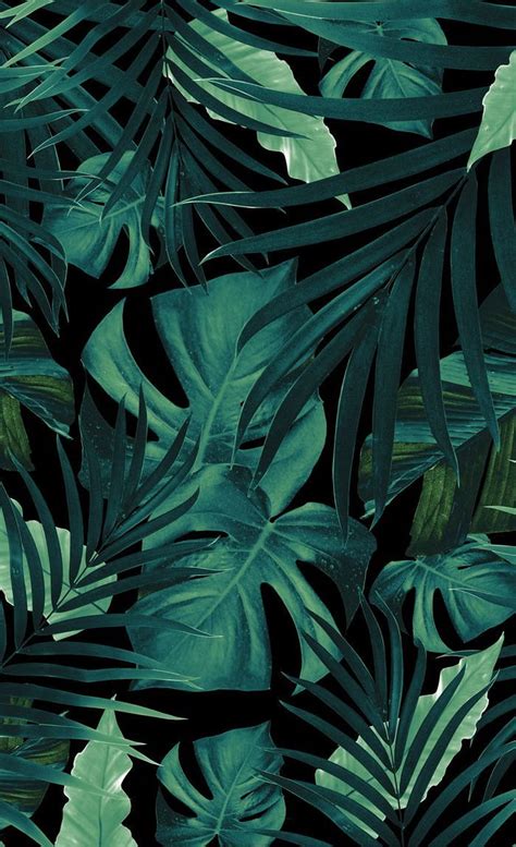 Tropical Jungle Night Leaves Pattern Hd Phone Wallpaper Pxfuel