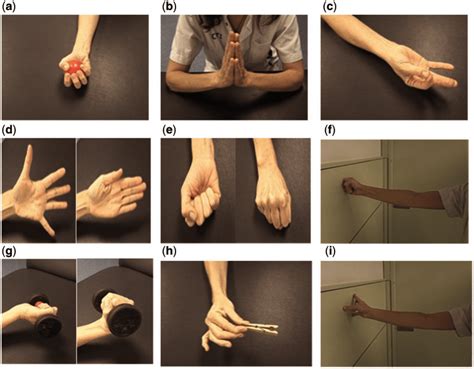 Isometric Exercises Of The Distal Region A Pressure With Rubber