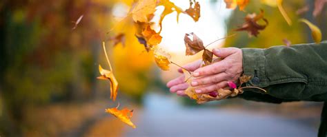 Download Wallpaper 2560x1080 Leaves Hands Autumn Dual Wide 1080p Hd