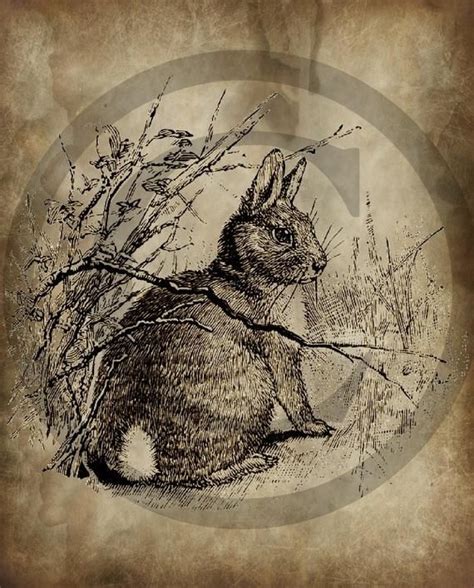 Rabbit Art Bunny Rabbit Vintage Rabbit Bunny Art Vintage Labels