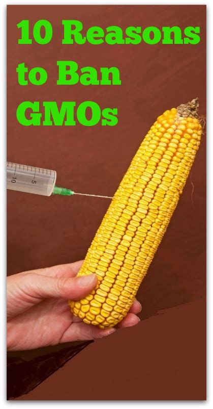 10 Reasons To Ban Gmos Natural Holistic Life