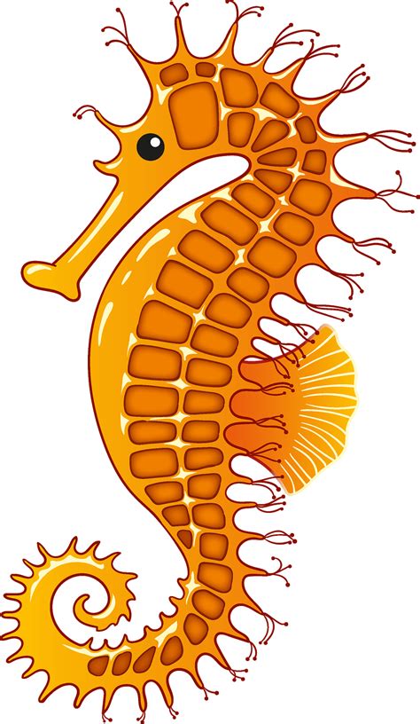 Pictures Of Seahorses Clipart