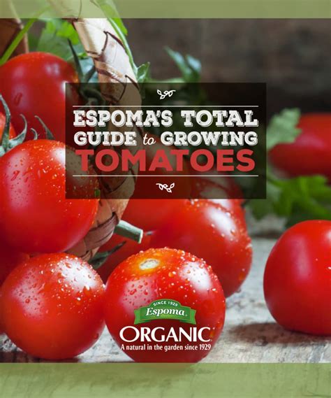 Espoma Organics Total Guide To Growing Tomatoes Espoma