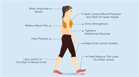 How The Body Can Be Affected By Walking 30 Minutes A Day Womenworking
