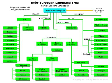 European Language Tree Lasopawee