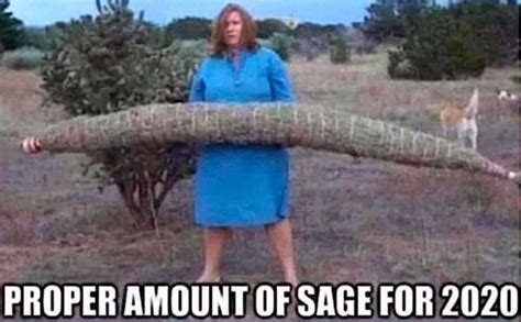 Proper Amount Of Sage For 2020 2020 Humor Funny Memes Memes
