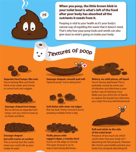 What Is Your Poop Telling You Kyy