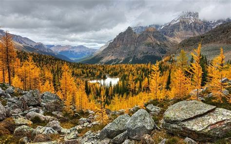 Download Wallpapers Autumn Mountain Forest Yoho National Park