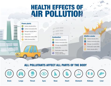 What Pollutants Should I Watch Out For Iqair