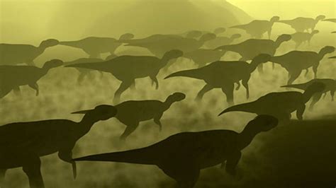 The Great Dinosaur Stampede That Never Was Bbc News
