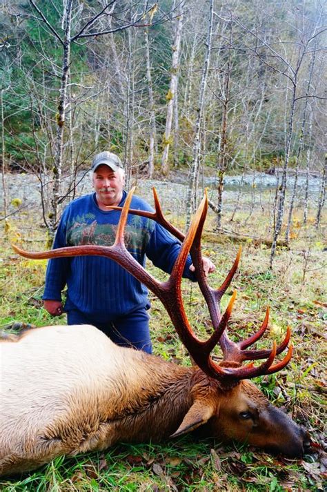 7 Day British Columbia Vancouver Island Roosevelt Elk Hunt For One