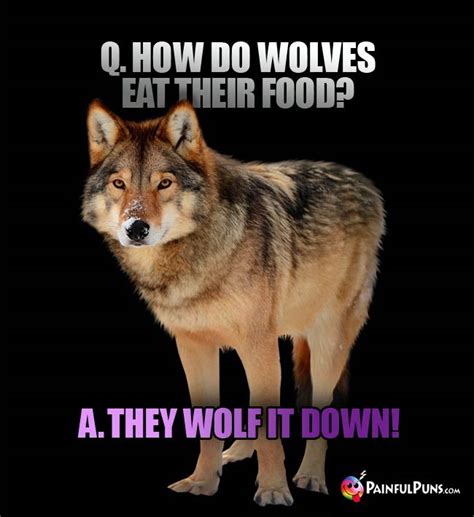 Top 154 Funny Wolf Puns