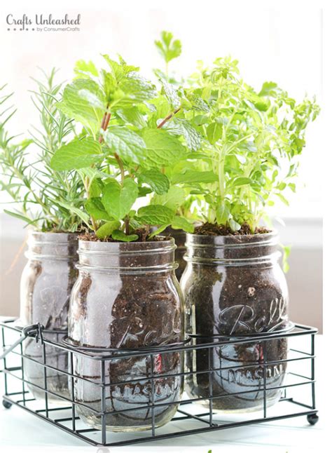 Herb Garden Ideas For Indoor Spaces That Will Inspire You