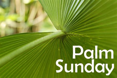 Tpc News Come Join Us This Sunday For Palm Sunday