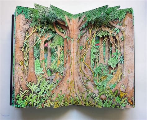 Rainforest Altered Book Reflections Alexi Francis