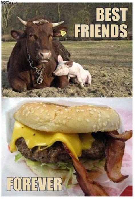 Best Friends Forever Funny Pictures 1420 Pic 7