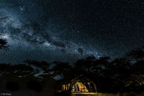 Bill Klipp Nightskystars Serengeti Np Tanzania Africa Geographic