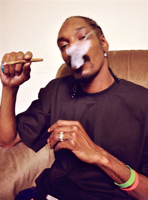 Home Alone Stoned Snoop Doggs Guide To Rolling A Blunt Doggy Style